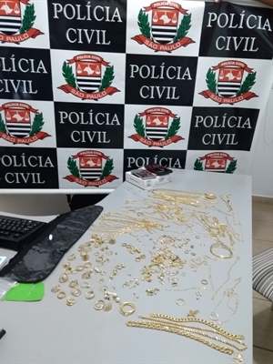 Os policiais da DIG conseguiram recuperar parte das jóias roubadas (Foto: Divulgação/DIG)