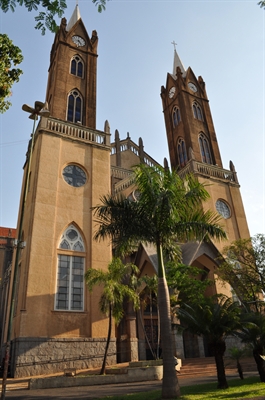 Igreja celebra 50 anos das Irmãs Franciscanas