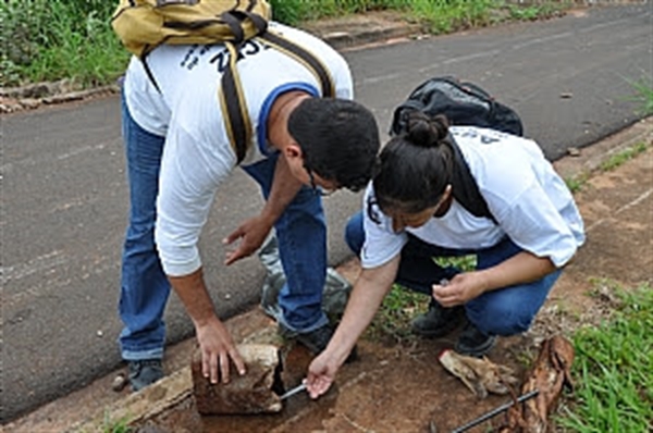 O Setor orienta à população a manter os quintais limpos, eliminando possíveis criadouros (Foto: Divulgação/Prefeitura de Votuporanga)