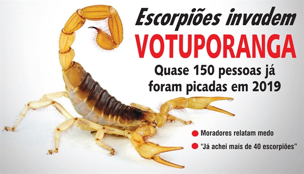Um moradora do bairro Pozzobom contou que na sua casa apareceram mais de 40 escorpiões (Foto: Toninho Tavares/Agência Brasília)