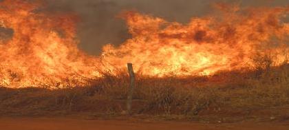 Ocorrências de incêndios mobilizam bombeiros