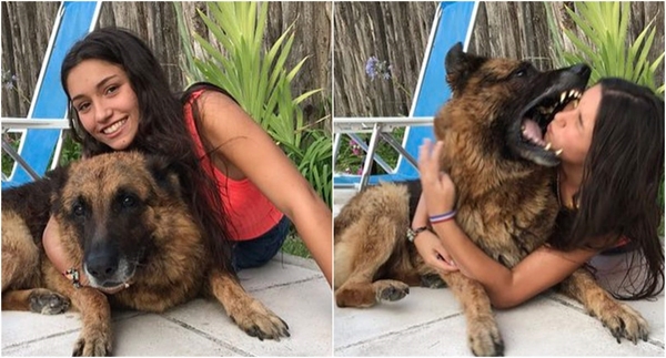 Gatora argentina foi mordida por um cachorro, ao aproximar o rosto para tirar fotos com o animal (Foto: Divulgação/Internet)