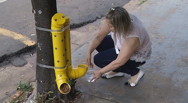  Wancleia coloca água em bebedouro criado por ela em Rio Preto (Foto: Reprodução/TV TEM) 