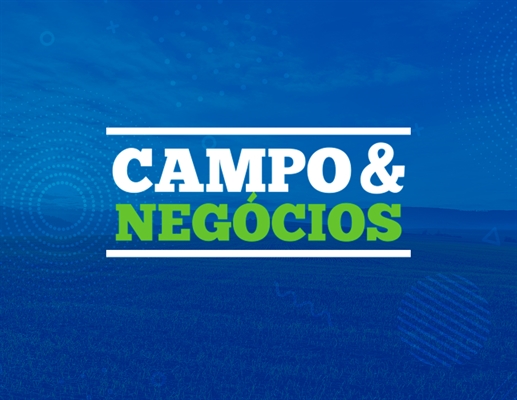 Artigo 'Tomateiro: como os porta-enxertos podem otimizar o cultivo' contou com a participação dos estudantes Fátima Gouvêa Prudêncio e João Victor Dam de Abreu (Imagem: Divulgação)