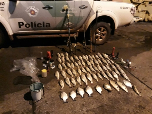 Polícia apreendeu 26 quilos de peixes pescados irregularmente em Ouroeste (SP) (Foto: Polícia Militar/Divulgação)