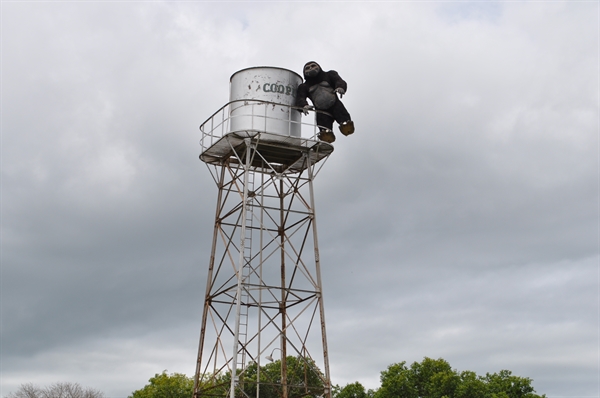 O ‘King Kong’ pendurado na caixa d’água da Patrulha Agrícola, no São João, viralizou nas redes sociais   (Foto: A Cidade)