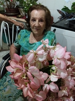 Maria Aparecida de Jesus, 87 anos (Foto: Arquivo Pessoal)