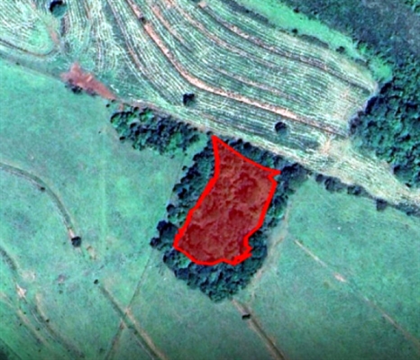 Por meio de satélite, Polícia Ambiental identifica degradação e multa dono de fazenda (Foto: Divulgação)