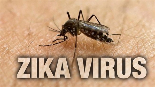 Vigilância confirma mais um caso de Zika em gestante