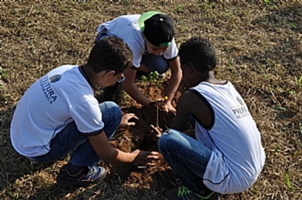 Saev Ambiental realizará ações voltadas ao incentivo da educação ambiental  (Foto: Prefeitura de Votuporanga)