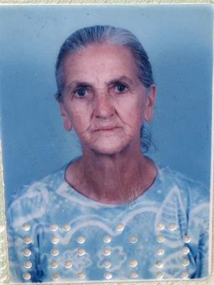 Maria Aparecida B. Pedrassi