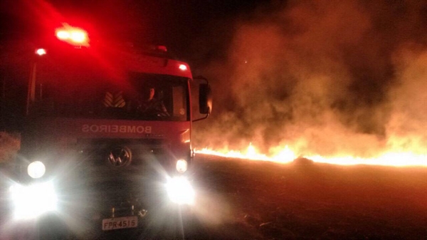 (Foto: Divulgação/Corpo de Bombeiros)