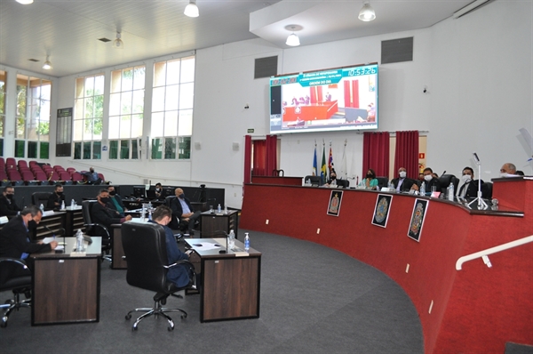 O pregão para a compra de R$ 50 mil em medicamentos para eutanásia gerou discussão na Câmara (Foto: A Cidade)