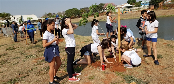 A Saev Ambiental também plantou novas árvores na praça João Guzzo (Foto: Divulgação/Prefeitura)