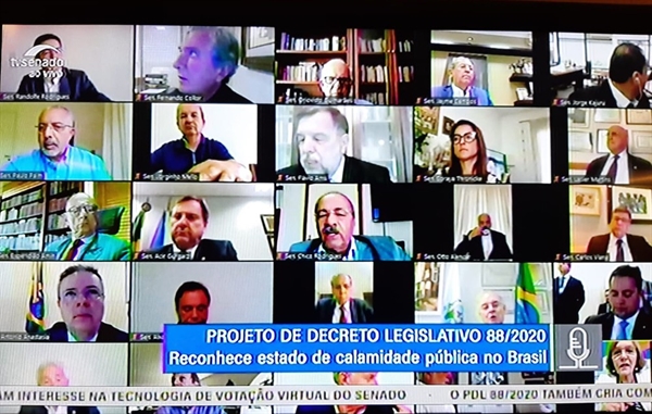 Pela primeira vez na história, senadores analisam remotamente decreto que reconhece estado de calamidade pública . (Foto: Luiz Felipe Barbiéri/G1)