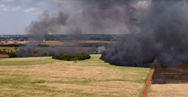 Fogo atingiu área de plantação e também área verde — Foto: Reprodução/TV TEM