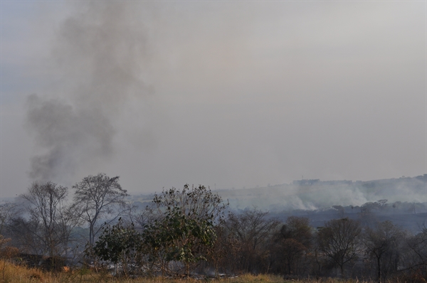 Incêndio registrado ontem, em uma propriedade rural próxima de Valentim Gentil, cerca de 150 alqueires foram afetados (A Cidade)