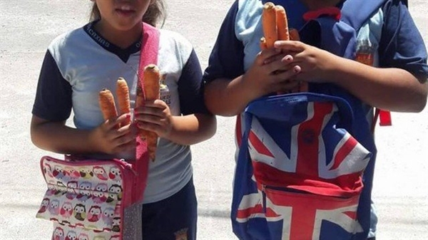 Prefeitura dá saco com duas cenouras como presente de Páscoa para alunos da rede pública (Foto: Reprodução)