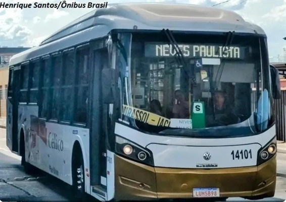 As linhas são divididas em cinco rodoviárias e três suburbanas, conectando cidades na região de São José do Rio Preto (Foto: Divulgação)