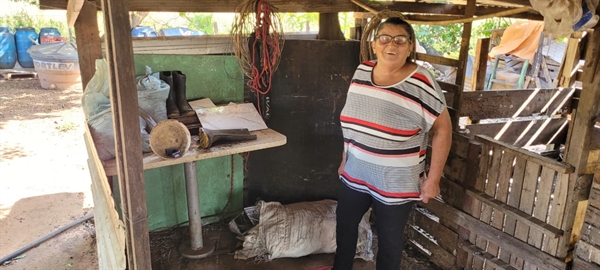 ‘Não tenho medo, não’: idosa é picada 83 vezes por escorpiões em chácara de Votuporanga