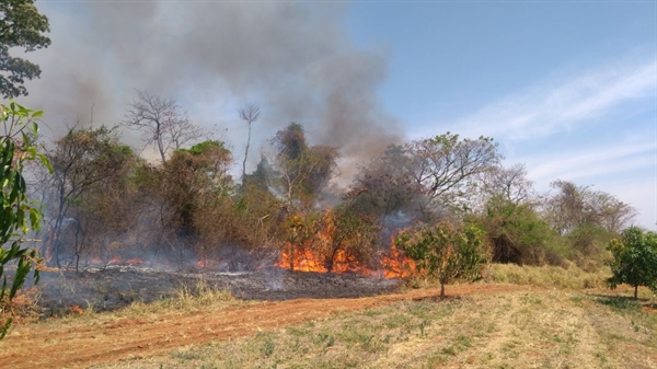 Segundo a Corporação, o primeiro foi registrado em uma fazenda, na rodovia Péricles Belini, km 134, próximo a Álvares Florence, e queimou boa parte da vegetação (Foto: Divulgação/Corpo de Bombeiros)