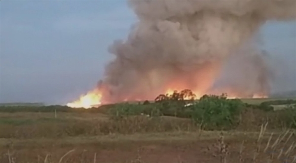 Incêndio em área de canavial em Catanduva — Foto: Reprodução/TV TEM