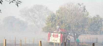 Queimada em área próxima ao Horto