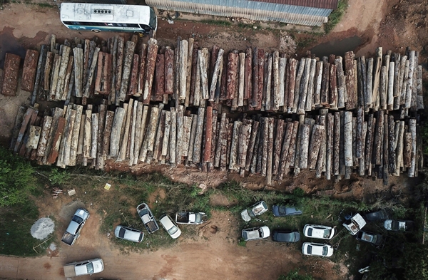 Foto aérea registrada pela Reuters mostra madeira que, segundo a agência, foi retirada ilegalmente da Amazônia em Anapu, municipio do Pará, em setembro — Foto: Nacho Doce/Reuters