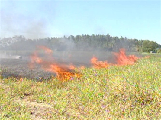 A empresa foi condenada em virtude de um incêndio na vegetação próximo da malha férrea (Foto: Reprodução/Imagem Ilustrativa)