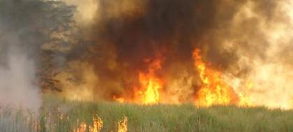 PM Ambiental alerta sobre queima da palha de cana