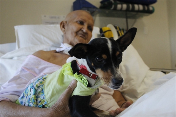 Lolita foi visitar a dona, Roberta Almeida, no Hospital em Rio Preto — Foto: Divulgação/HB
