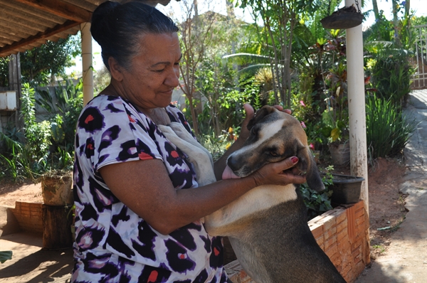 A pensionista, Maria José, com seu cachorro Dumbinho; o cachorro Zeca morreu no dia 8 de agosto  (Gabriele Reginaldo/A Cidade)