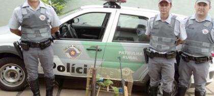 Polícia Ambiental apreende pássaros e armas
