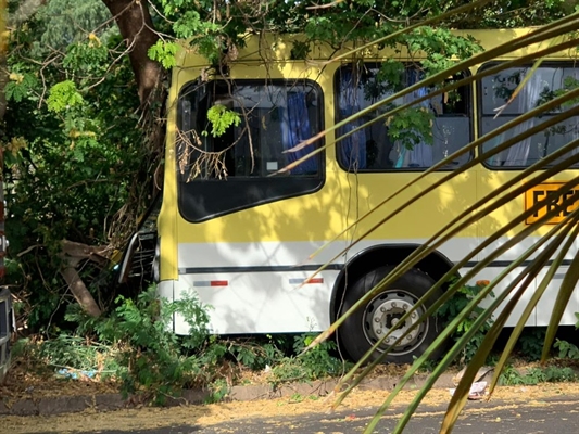 Alunos ficam feridos após ônibus perder o freio e bater em árvore em avenida de Rio Preto — Foto: André Modesto/TV TEM