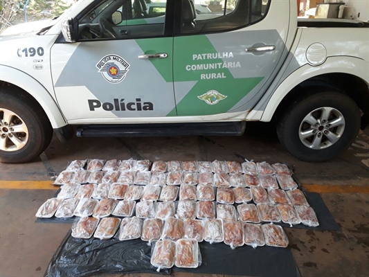 Os peixes apreendidos foram doados para a Associação Beneficente Irmão Mariano Dias e Lar Frei Arnaldo (Foto: Divulgação/Polícia Militar)