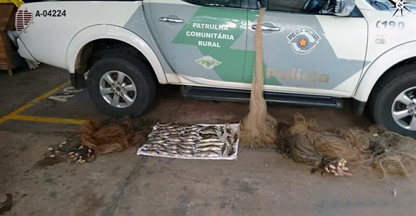 Peixes e materiais apreendidos pela Polícia Ambiental de Votuporanga durante a Operação Nossa Senhora Aparecida  (Foto: Divulgação/Polícia Ambiental)