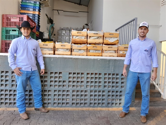 As frutas foram entregues ao Serviço de Nutrição e Dietética da Santa Casa (Foto: Santa Casa)