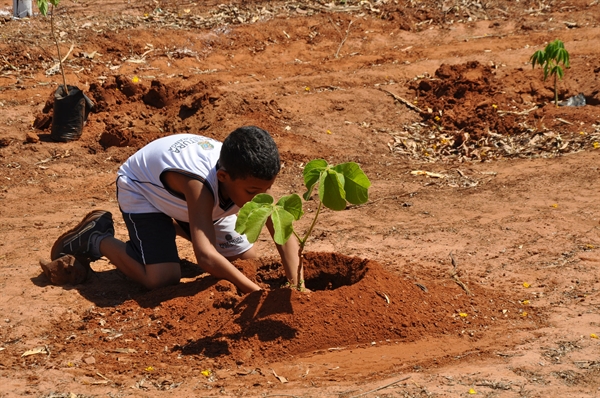 Para celebrar o Dia da Árvore, a Saev Ambiental irá plantar mais 100 mudas na APP do córrego Boa Vista nesta quinta-feira (21) (Foto: Rodrigo Pessôa)