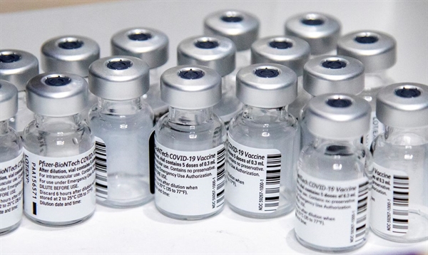 Os lotes fazem parte do contrato assinado com o Ministério da Saúde para fornecimento de 100 milhões de doses da vacina até dezembro (Foto: Agência Brasil/ Reuters/Carlos Osorio) 