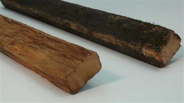 Um pedaço de madeira de aproximadamente 60 cm foi apreendido pela polícia com um dos autores dos fatos (Foto: Imagem Ilustrativa) 