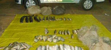Polícia Ambiental apreende 77 quilos de peixes 