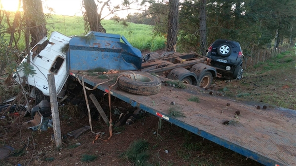 Caminhão bateu contra árvores após sair da pista na Washington Luiz em Cedral (Foto: Arquivo Pessoal)