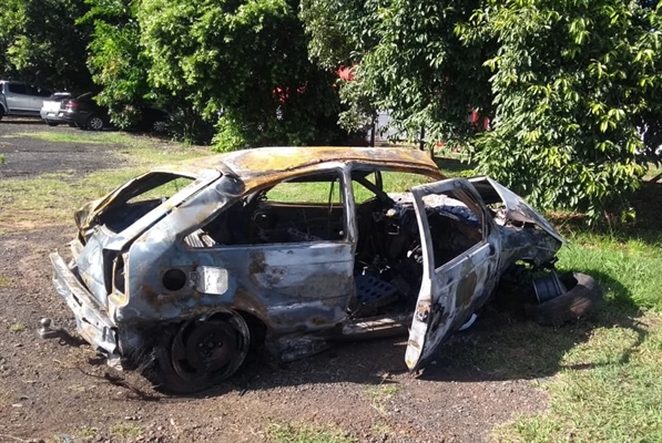 Carro pegou fogo após capotar em rodovia de Mirassol — Foto: Arquivo pessoal