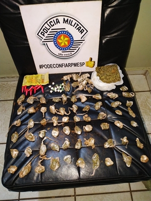 Os policiais da Força Tática apreenderam diversas porções de maconha, crack e cocaína, além de dinheiro  (Foto: Divulgação/Força Tática)