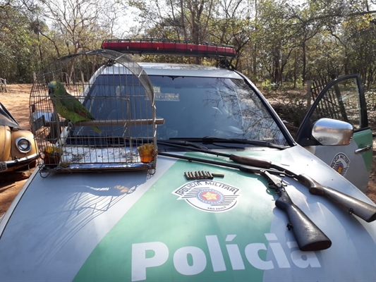 Os policiais ambientais apreenderam duas espingardas e munições; um papagaio também foi apreendido, porém permaneceu na casa (Foto: Divulgação/Polícia Ambiental)