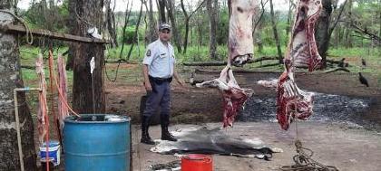 Polícia Ambiental localiza abatedouro clandestino