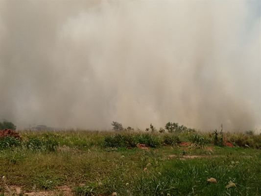 Incêndio atinge canavial e área de pastagem em Valentim Gentil, SP