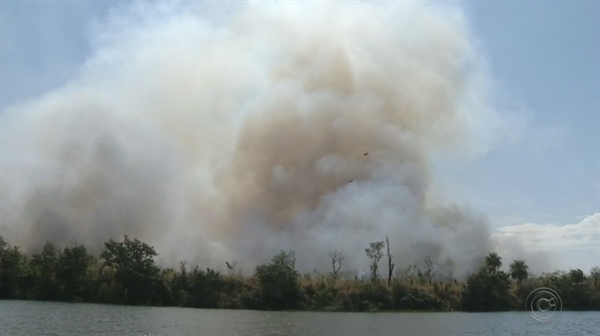 Fumaça na ilha dá para ser vista de longe no Rio Paraná — Foto: Reprodução/TV TEM