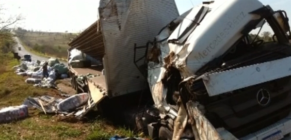 Caminhão ficou destruído após acidente em rodovia de Clementina — Foto: Reprodução/TV TEM