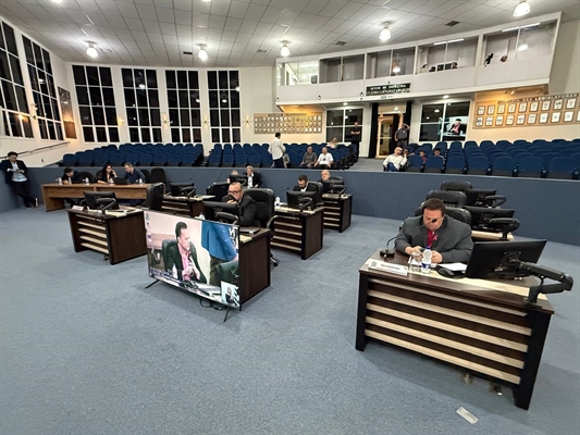Vereadores irão votar três projetos na sessão ordinária de segunda-feira, dentre eles o de conscientização sobre epilepsia (Foto: Assessoria)